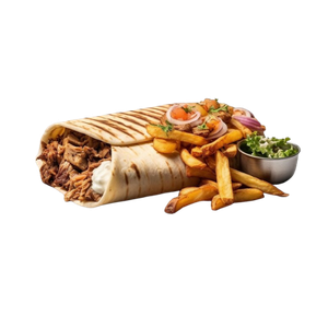 Chicken Doner and Fries
